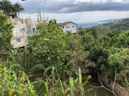Check spelling or type a new query. Land And Residential Lots For Sale In Jamaica Propertyadsja Com