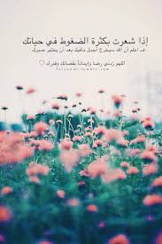 Pin By Gahtani On أحبك ياربي ياالله حسن الظن بالله Think Well Of Allah Nature Flowers Beautiful Flowers