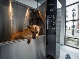 Open link in new tab. Apartment With Dog Wash Stations Near Me