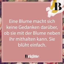 Aufmunternde Spruche Lebensweisheiten Die Kraft Geben Brigitte De