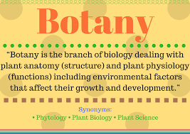 What is plant physiology definition. What Is Botany Botany Definition And Its Understanding