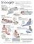 Pregnancy Pillow