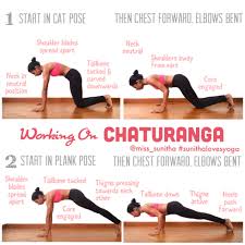 Yoga Tutorial On Chaturanga Yoga Push Ups Miss Sunitha Sunithalovesyoga Yoga Tutorial Easy Yoga Workouts Yoga Shoulder
