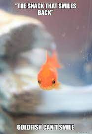 The Snack That Smiles Back Goldfish Can T Smile Grumpy Fish Make A Meme