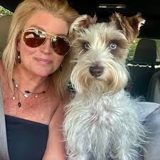 Camping in Phoenix: Finding a Tripped Breaker in a 2000 Winnebago Adventurer