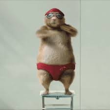 Submit your favorite dance gifs! Dj Ogc Photo Wochenende Lustig Lustige Bilder Funny Shit