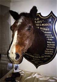 The people at horse soldier were happy to help. Philadelphia Oddities Old Baldy