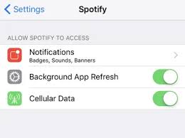 How Do I Disable Spotify Cellular Data Usage Ask Dave Taylor