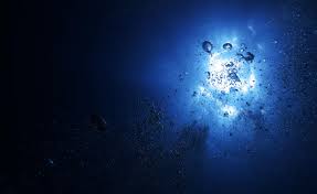 Water drops on dark surface wallpaper. Water Light Bubbles Depth Dark Blue Wallpaper Water Wallpaper Better
