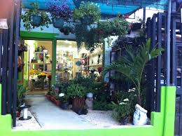 We did not find results for: Orquideas Magic Flowers Nurseries Gardening Store San Jose Costa Rica Facebook 1 125 Photos