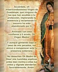 Catholic Connect Es Vaticano On Instagram Catholicconnect Es Catolicos Catolicosporamor Cato Oraciones Religiosas Oraciones Catholic Prayers