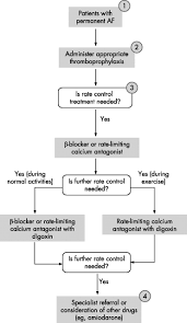Image result for Atrial Fibrillation Rhythm Control