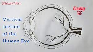 Pin On Science Biology Diagrams