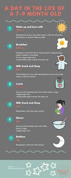 Typical Feeding Plan 7 9 Month Old Infographic Solid Start 9 Month Old Baby Food Baby Meal Plan Baby Food Schedule