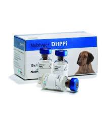 An onset of immunity to the canine parvovirus vaccine component of 1 week has been demonstrated following use of the vaccine. Nobivac Parvo C