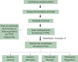 Miocardite pode ter várias causas (p. Diretriz Brasileira De Reabilitacao Cardiovascular 2020 Sanar Medicina