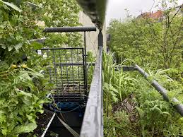 Wo nistet sich das befruchtete ei ein. Nachwuchs Ente Lilli Auf Unserem Balkon Im 6 Stock Bio Balkon