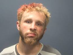 DAVALOS SAVANNAH SKY was booked into the Montgomery County Jail