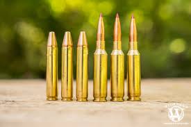 350 Legend Caliber Overview Best Ammo Options Wideners