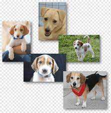 We did not find results for: Stepping Stones Png Images Pngwing