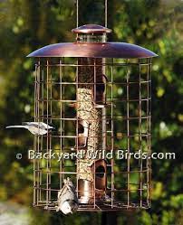 Copper Squirrel Proof Bird Feeder Bird Feeders Squirrel Proof Bird Feeders Squirrel Resistant Bird Feeders