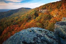 Arkansas camping arkansas vacations bike trails hiking trails hiking spots family trips road trippin road trip usa solo travel. 24 Of The Best Camping Sites In Arkansas Flavorverse