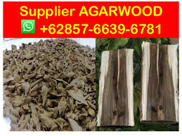 According to research published by the us national institute of health, global agarwood prices can range from $20 to $6,000 per kilogram for wood chips depending on its quality, or $10,000 per kilogram for full pieces of wood itself. Suppliers 62 857 6639 6781 Whatsapp Agarwood Oil Price Per Kg