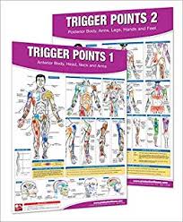 Buy Trigger Point Therapy Chart Poster Set Acupressure