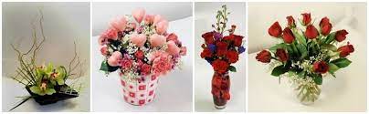 Marcia schaaf has been and still is the ceo of the company. The 10 Best Options For Flower Delivery In St Paul 2021