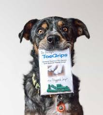 Ortho dog acl brace reviews. The Dog Acl Brace 5 Surprising Answers To The Question To Brace Or Not To Brace Dr Buzby S Toegrips For Dogs