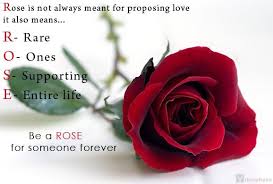Rose03 Jpg 578 390 Pixels Happy Rose Day Wallpaper Rose Day Wallpaper Rose Day Shayari