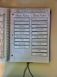 Science Teaching Junkie Setting Up Interactive Science Notebooks Science Notebook Middle School Interactive Science Notebook Interactive Science