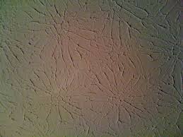 Maybe you would like to learn more about one of these? Rosebud Drywall Texture
