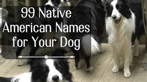 Pinay x scottish i just thought my hairstyle was cute today. 99 Native American Names For Male Dogs Pethelpful By Fellow Animal Lovers And Experts