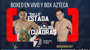 Ruiz hizo historia en nueva york, el pasado 7 de diciembre, y por eso esta revancha es tan esperada por los fans del box. Ver Box Azteca En Vivo Y En Directo Online El Sabado Youtube