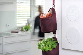 Du kannst fast alle kräuter im topf pflanzen. Frische Krauter Diy Academy
