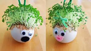 Grow Your Own Chia Pet A One Of A Kind Diy Ornament Chia Pet Pet Ornaments Diy Seed Craft