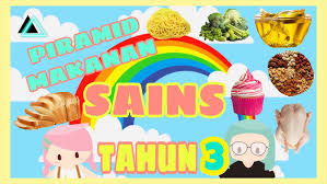 Piramida makanan adalah piramida yang menggambarkan jumlah berat dan energi mulai dari produsen sampai konsumen puncak. Sains Tahun 3 Piramid Makanan Youtube