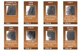 Hair Types Chart For Black Women Types Of Black Hair