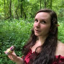 Amazon.com: Mosby's Comprehensive Review for Veterinary Technicians