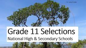 The Grade 11 Selection List Pdf Files Are Usually Made Available Online By The National Department Of Educ National High School Secondary School Education Info