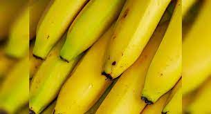 Is it okay to eat a banana during pregnancy? Banana At Night Is Good Or Bad Here S The Answer The Times Of India