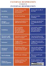 Difference Between Nursing School Pharmacology Biology Lessons Human Body Facts