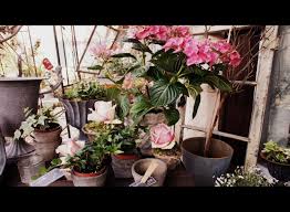 Unser Sortiment Platzwechsel Der Shop Im Schopf Binzen Accessoires Wohnen Cafe In Binzen Nahe Dem Dreilandereck Bei Basel Dekorat Cafe Dekoration Shops