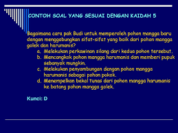 Instrumen soal tes, lembar penilaian kinerja, checklist, rating scale, lembar rubric, dll. Contoh Soal Tes Masuk Koperasi Simpan Pinjam Berbagai Contoh