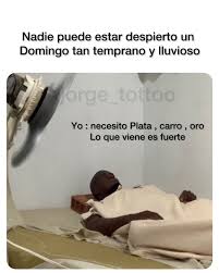 Nadie puede estar despierto un Domingo tan temprano y lluvioso #meme #viral