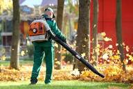 How to eliminate gas leaf blowers divides Oak Park board ...
