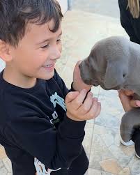 Lolo Nelson, Lolozuco, Lolo Jackson, agora você tem uma mão cheinha de  dedos pra mostrar que é um mocinho lindo de 5 anos, que arrasa demais  dançando Michael JESSICON e que trouxe