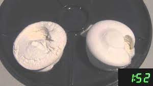 We did not find results for: Melting Contest Walmart Brand Whip Cream Vs Cool Whip Youtube