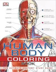 The Human Body Coloring Book The Ultimate Anatomy Study Guide Anatomy Coloring Book Human Body Coloring Books